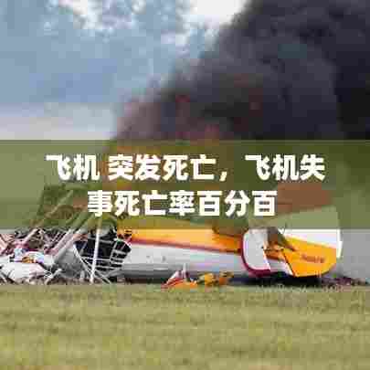飞机 突发死亡,飞机失事死亡率百分百