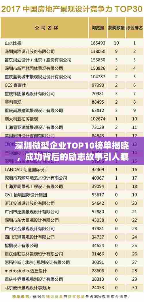 深圳微型企业TOP10榜单揭晓，成功背后的励志故事引人瞩目