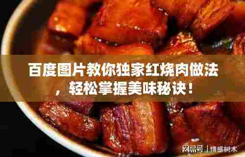 百度图片教你独家红烧肉做法,轻松掌握美味秘诀!