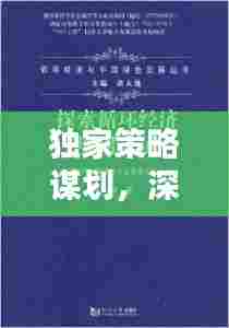 独家策略谋划,深度解析策略之道