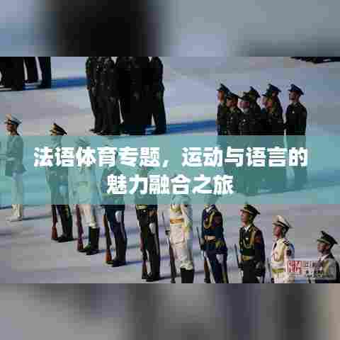 法语体育专题,运动与语言的魅力融合之旅