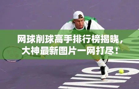 网球削球高手排行榜揭晓,大神最新图片一网打尽!