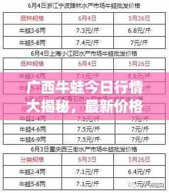 广西牛蛙今日行情大揭秘，最新价格分析与趋势展望