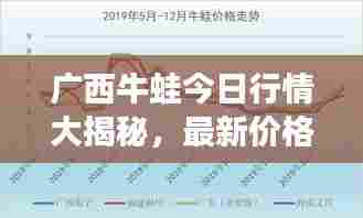 广西牛蛙今日行情大揭秘,最新价格分析与趋势展望