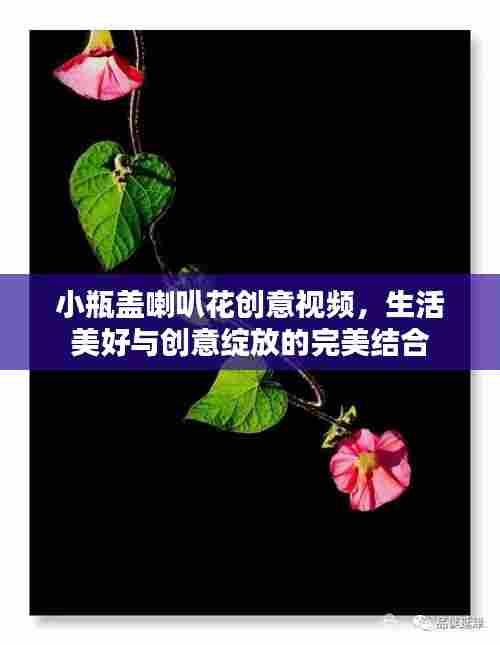 小瓶盖喇叭花创意视频,生活美好与创意绽放的完美结合