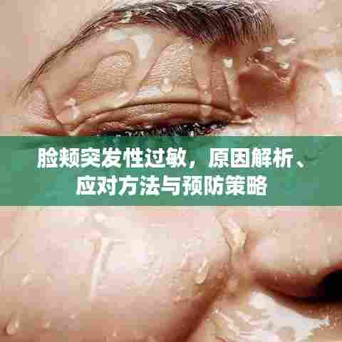 鸿飞雪爪 第7页