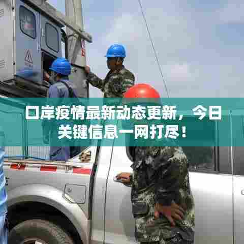 口岸疫情最新动态更新，今日关键信息一网打尽！