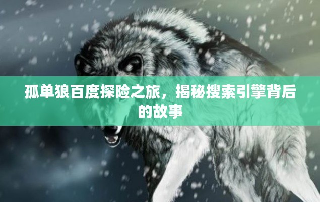 孤单狼百度探险之旅,揭秘搜索引擎背后的故事