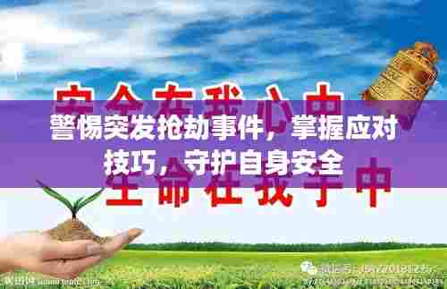 警惕突发抢劫事件,掌握应对技巧,守护自身安全