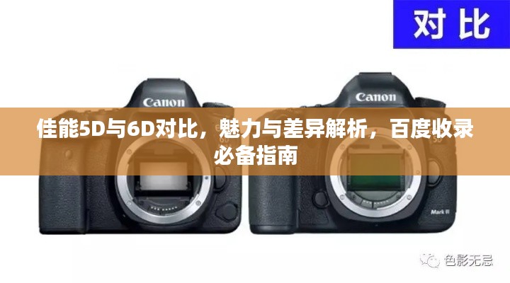佳能5D与6D对比，魅力与差异解析，百度收录必备指南