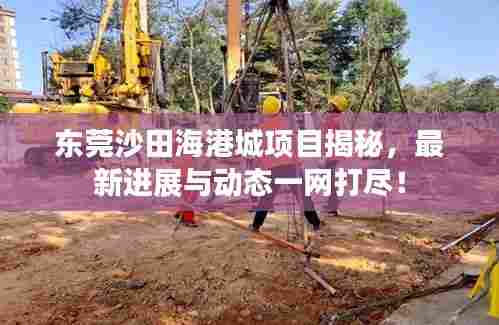 东莞沙田海港城项目揭秘,最新进展与动态一网打尽!
