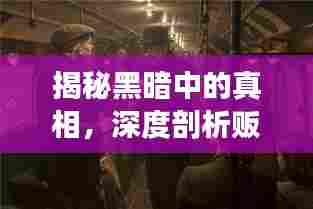 揭秘黑暗中的真相，深度剖析贩毒专题片