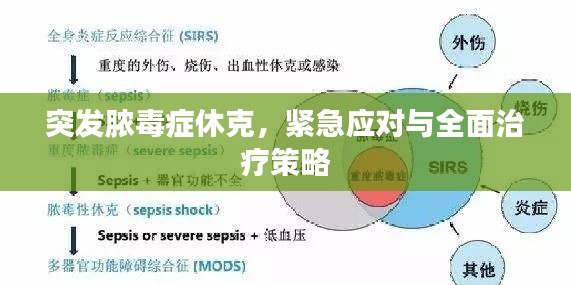 突发脓毒症休克,紧急应对与全面治疗策略