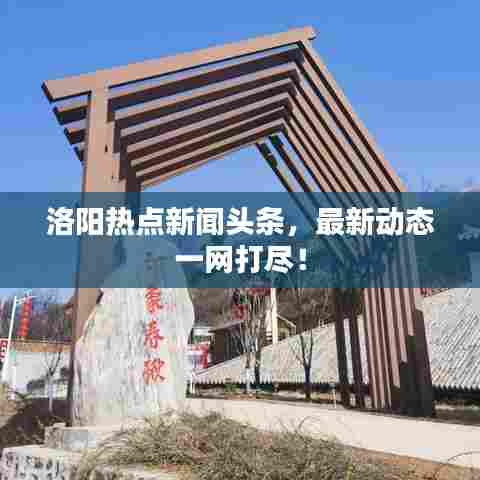 洛阳热点新闻头条，最新动态一网打尽！