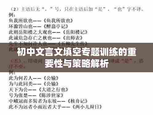 初中文言文填空专题训练的重要性与策略解析