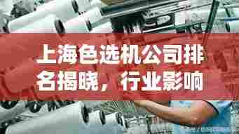 上海色选机公司排名揭晓,行业影响力不容小觑