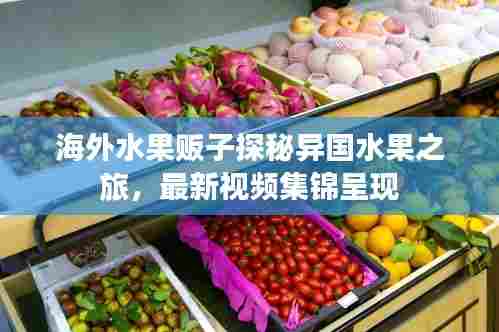 海外水果贩子探秘异国水果之旅,最新视频集锦呈现