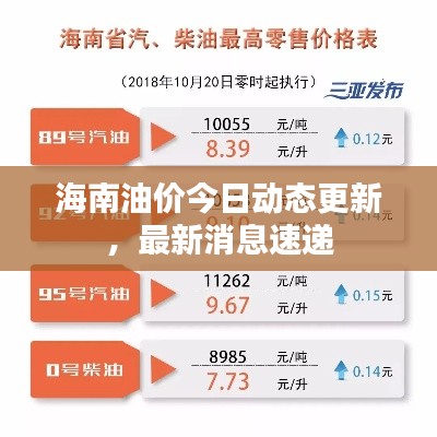 海南油价今日动态更新,最新消息速递