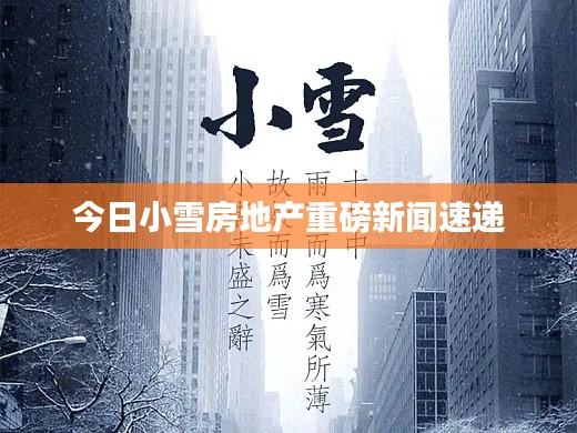 今日小雪房地产重磅新闻速递