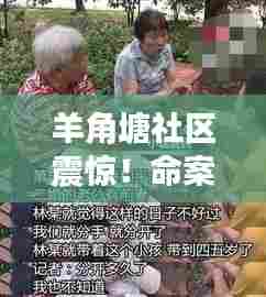 羊角塘社区震惊！命案细节逐渐揭晓