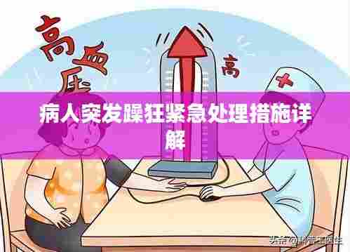 病人突发躁狂紧急处理措施详解