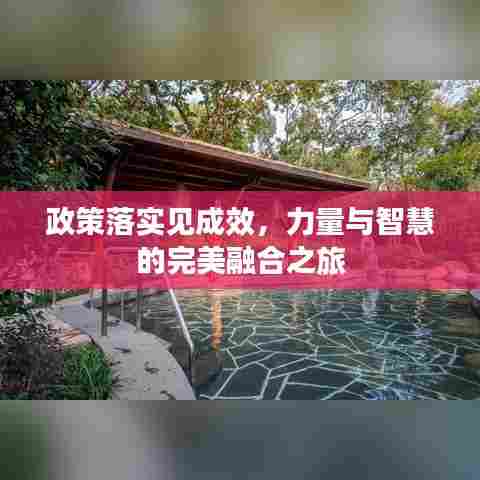 政策落实见成效,力量与智慧的完美融合之旅