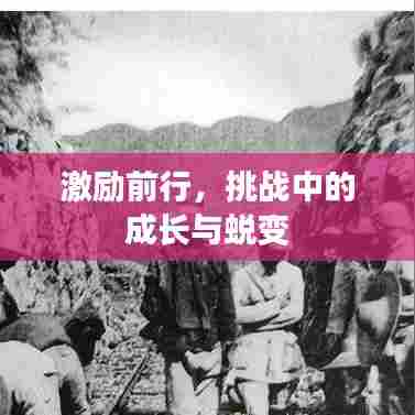 激励前行，挑战中的成长与蜕变