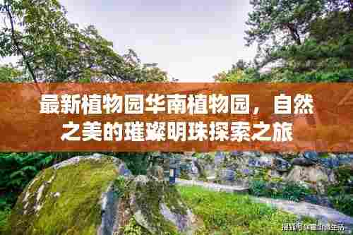 最新植物园华南植物园,自然之美的璀璨明珠探索之旅
