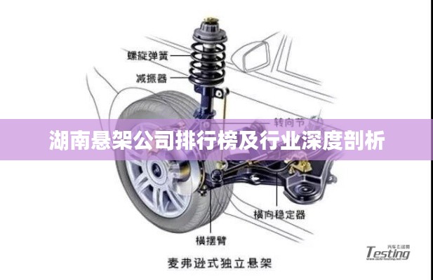 湖南悬架公司排行榜及行业深度剖析