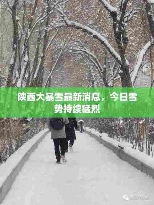 陕西大暴雪最新消息，今日雪势持续猛烈