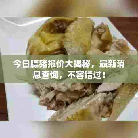 今日膘猪报价大揭秘,最新消息查询,不容错过!
