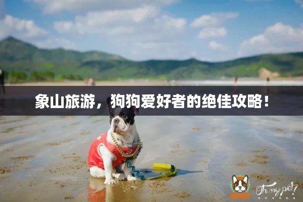 象山旅游，狗狗爱好者的绝佳攻略！