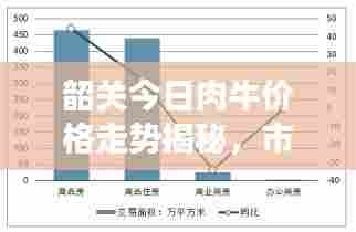 韶关今日肉牛价格走势揭秘,市场分析及影响因素探讨