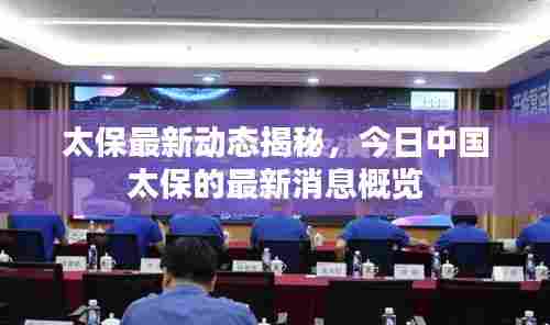 太保最新动态揭秘,今日中国太保的最新消息概览