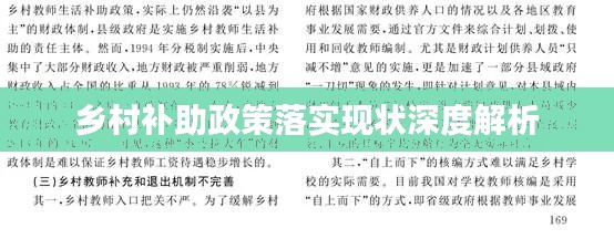 乡村补助政策落实现状深度解析
