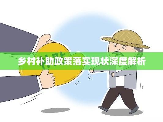 乡村补助政策落实现状深度解析