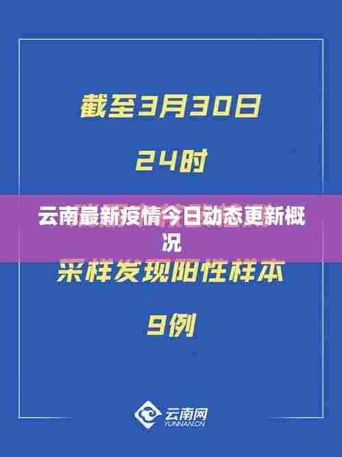 云南最新疫情今日动态更新概况