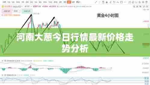 河南大葱今日行情最新价格走势分析