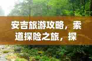 安吉旅游攻略,索道探险之旅,探秘美景尽收眼底!