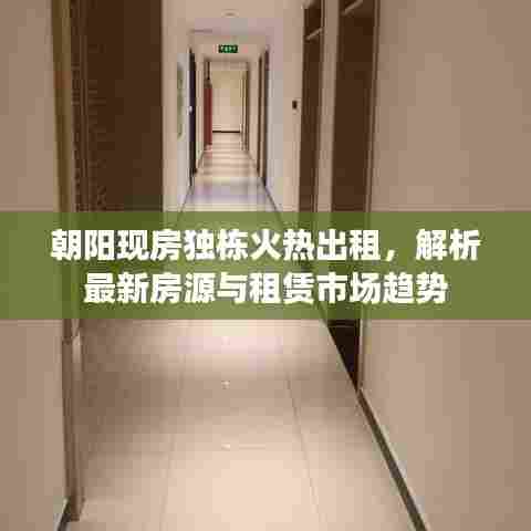 朝阳现房独栋火热出租，解析最新房源与租赁市场趋势