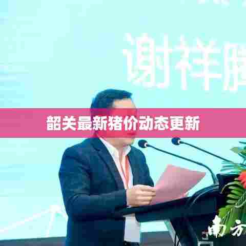 韶关最新猪价动态更新