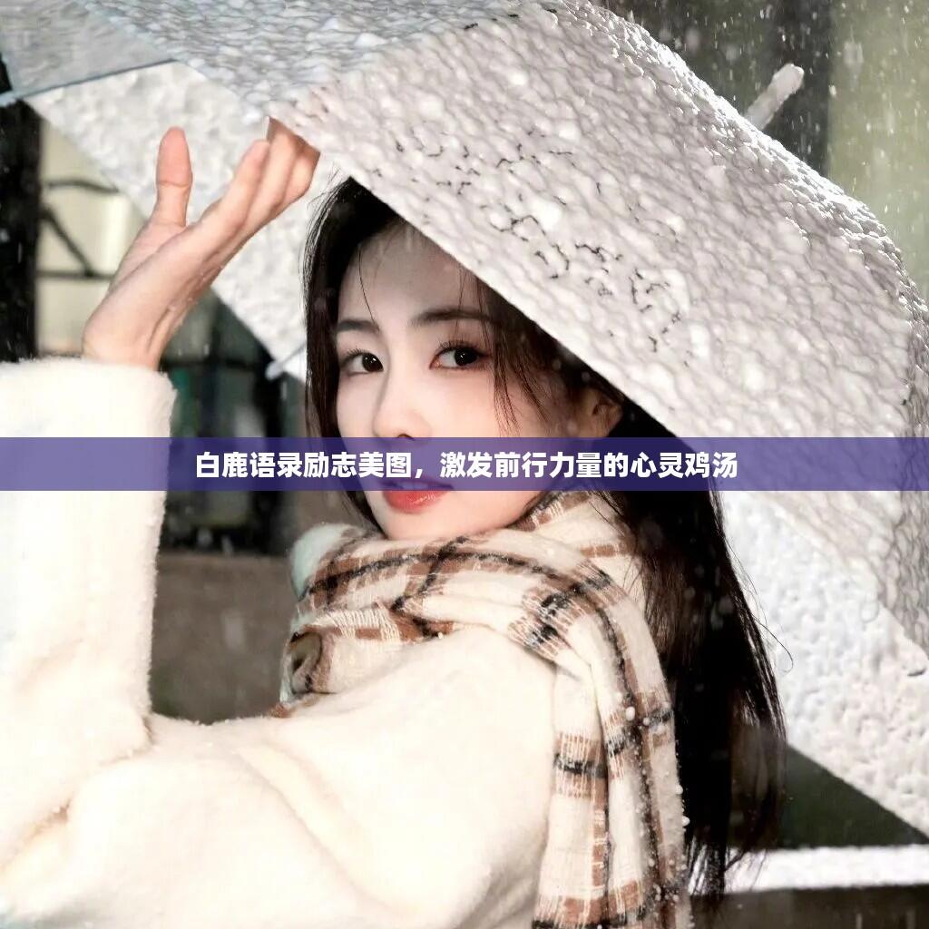 白鹿语录励志美图，激发前行力量的心灵鸡汤