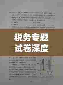 税务专题试卷深度解析，从知识盲点到得分策略