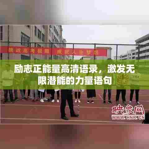 百鸟归巢 第6页