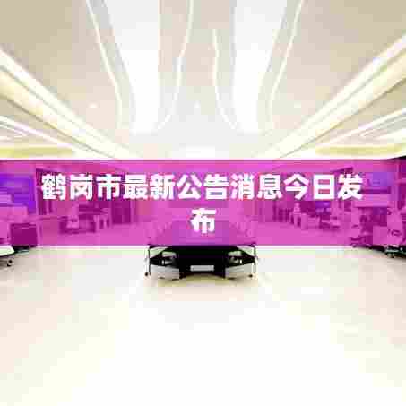 鹤岗市最新公告消息今日发布