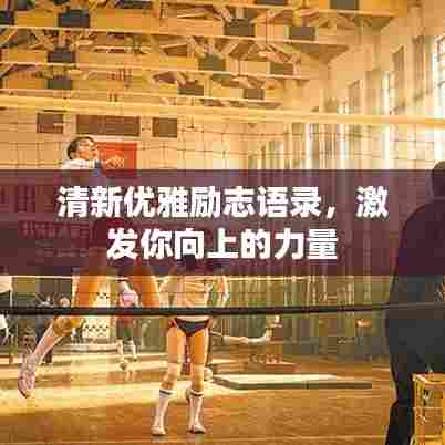 清新优雅励志语录,激发你向上的力量
