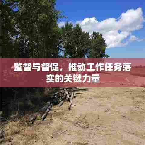 监督与督促,推动工作任务落实的关键力量