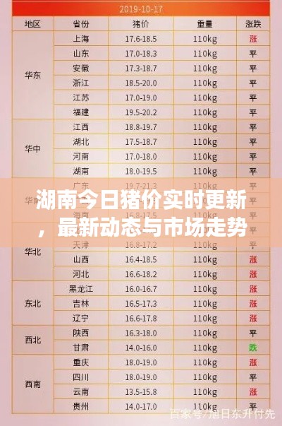 湖南今日猪价实时更新，最新动态与市场走势分析