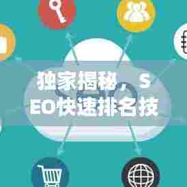 独家揭秘,SEO快速排名技术,优化秘籍大公开