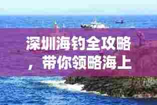 深圳海钓全攻略,带你领略海上垂钓的乐趣!